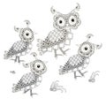 Cartoons monochrome owl family art design stock vector illustration for coloring book